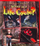 what is a lifecycle